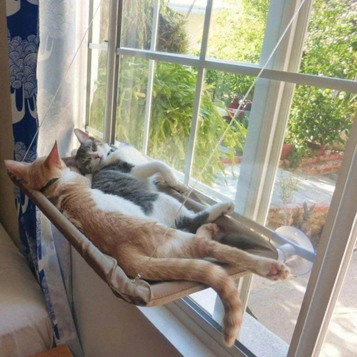 Hamaca colgante para gatos