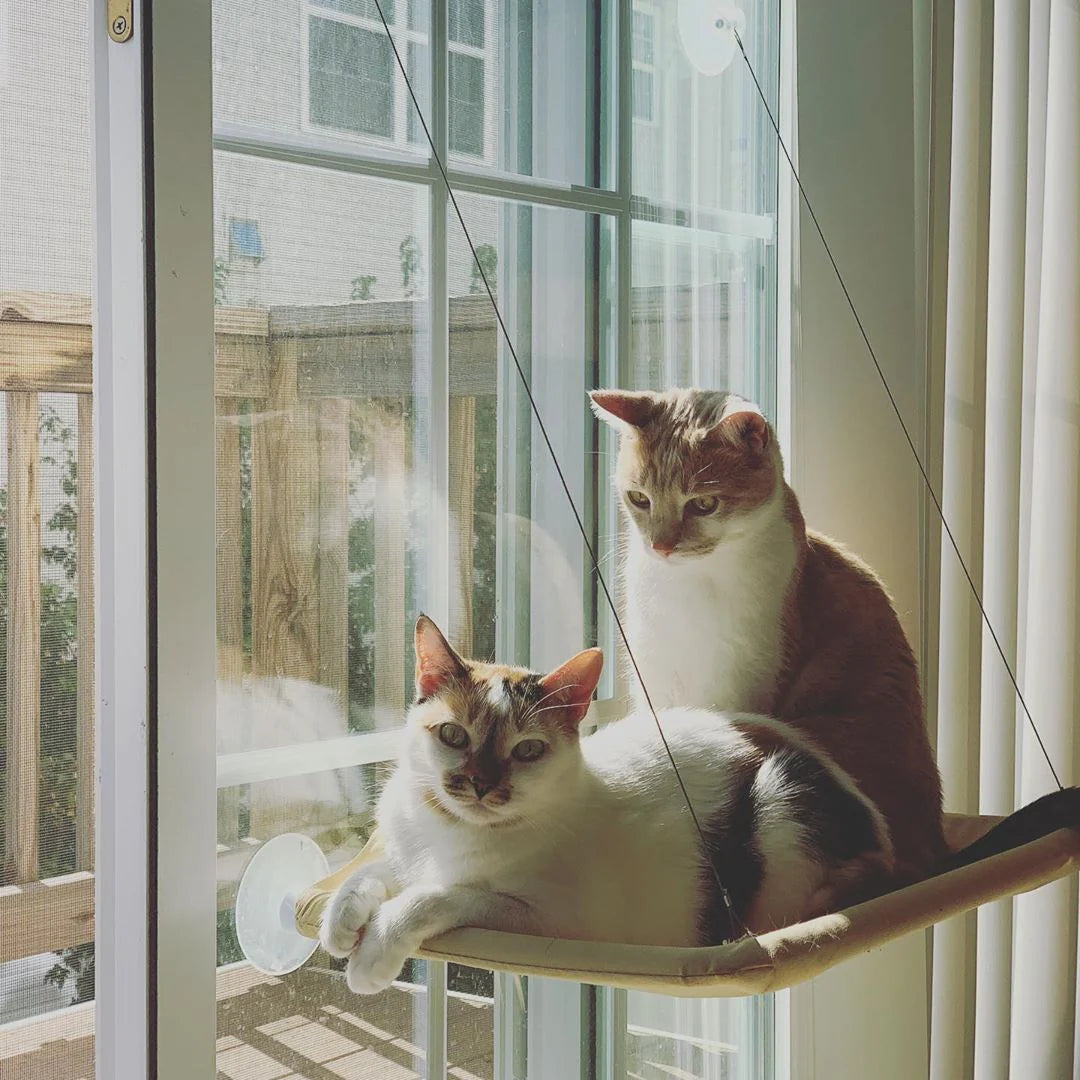 Hamaca colgante para gatos