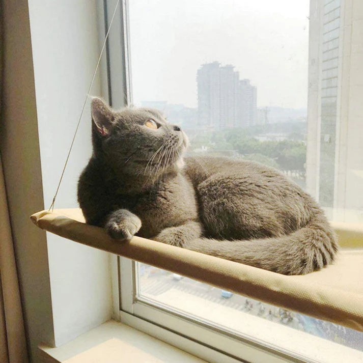 Hamaca colgante para gatos